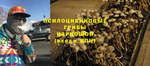 2c-b Елабуга