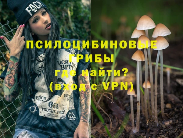 2c-b Елабуга
