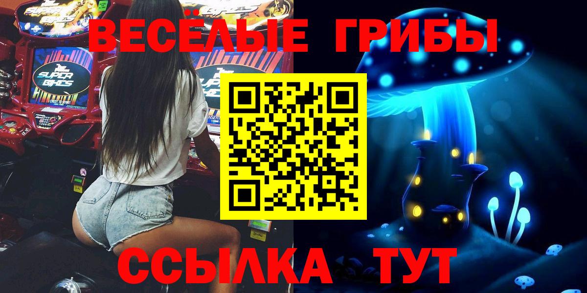 купить наркотик  Вход с VPN  Среднеуральск  Галлюциногенные грибы Magic Shrooms  Псилоцибиновые грибы Psilocybe 