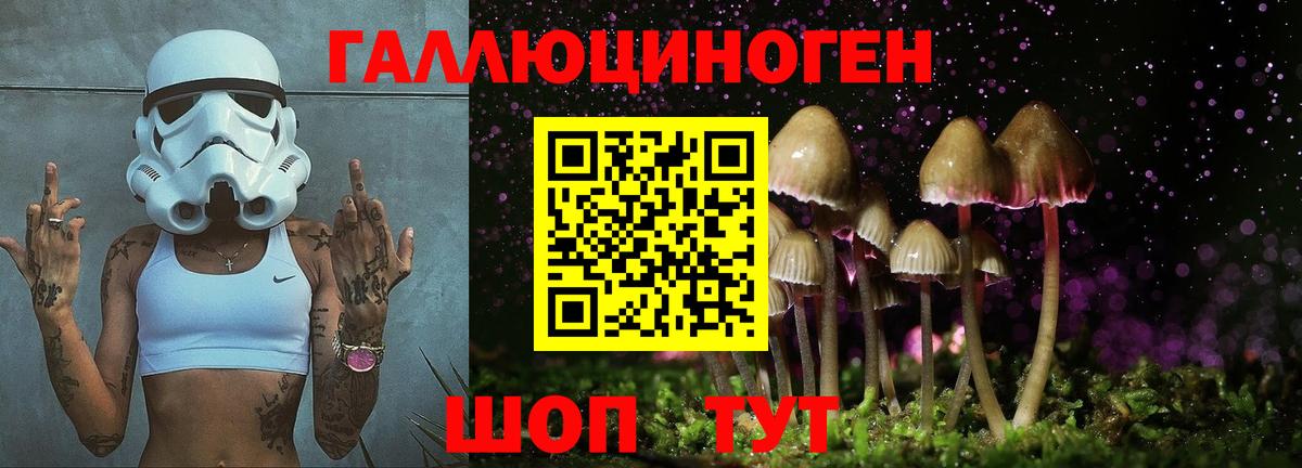 Галлюциногенные грибы Magic Shrooms Среднеуральск